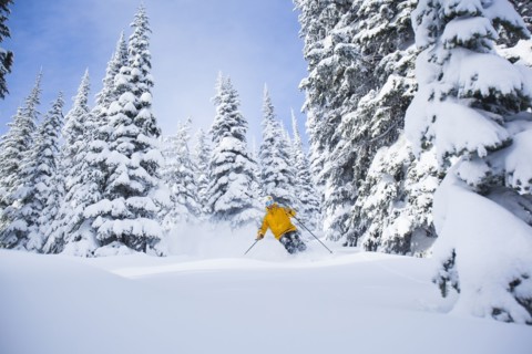Man skiing. USA, Montana, Whitefish.
Photo : Noah Clayton