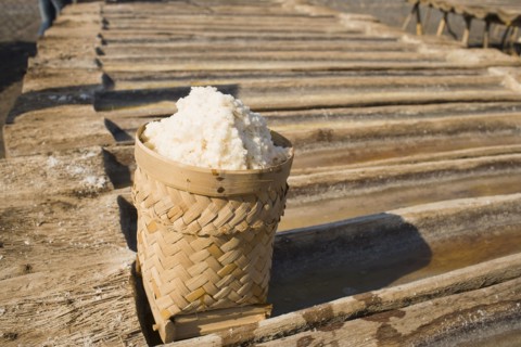 Salt extracted from saltwater.
Photo : Noah Clayton