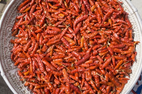 Chili peppers in bowl.
Photo : Noah Clayton