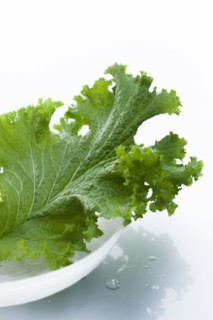Studio shot of lettuce leaf.
Photo : Karen Schuld