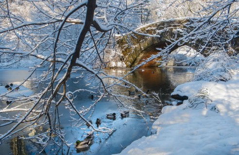 Bridge in Central Park in winter. New York City, USA.