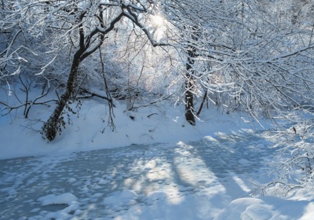Frozen lake in Central Park. New York City, USA.