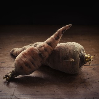 Studio shot of carrots.