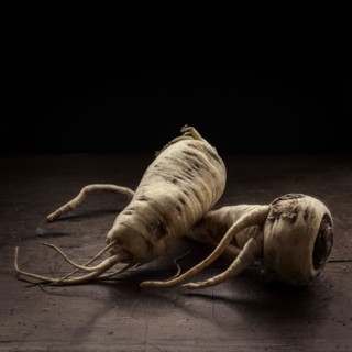 Studio shot of parsnips.