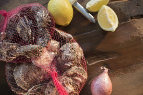 View of oysters and lemons.
Photo : Jamie Grill