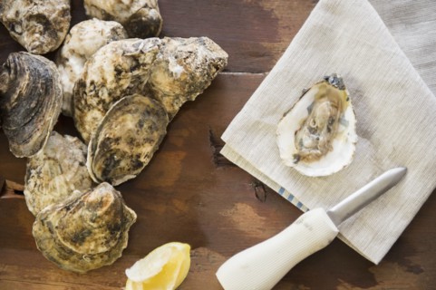 View of oysters.
Photo : Jamie Grill