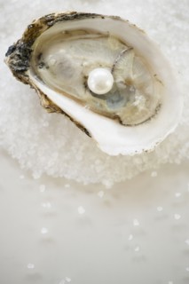 Studio shot of oysters and pearl.
Photo : Jamie Grill