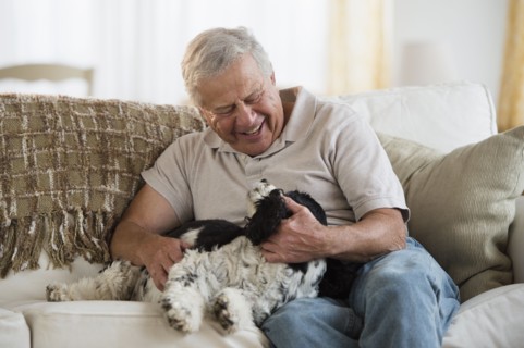 Senior man playing with dog.
Photo : Jamie Grill