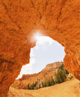 Bryce Canyon National Park. Bryce Canyon National Park, Utah, USA.
Photo : Daniel Grill