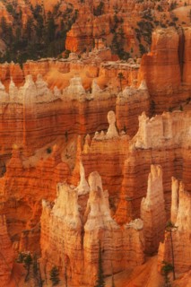 Bryce Canyon National Park. Bryce Canyon National Park, Utah, USA.
Photo : Daniel Grill