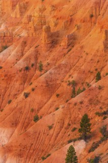 Bryce Canyon National Park. Bryce Canyon National Park, Utah, USA.
Photo : Daniel Grill