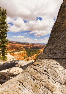 Bryce Canyon National Park. Bryce Canyon National Park, Utah, USA.
Photo : Daniel Grill