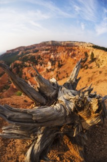 Bryce Canyon National Park. Bryce Canyon National Park, Utah, USA.
Photo : Daniel Grill
