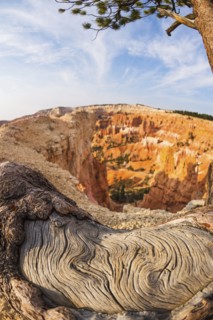 Bryce Canyon National Park. Bryce Canyon National Park, Utah, USA.
Photo : Daniel Grill