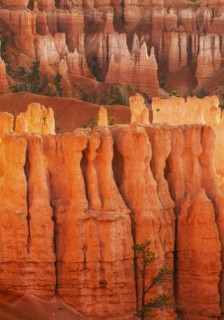 Bryce Canyon National Park. Bryce Canyon National Park, Utah, USA.
Photo : Daniel Grill