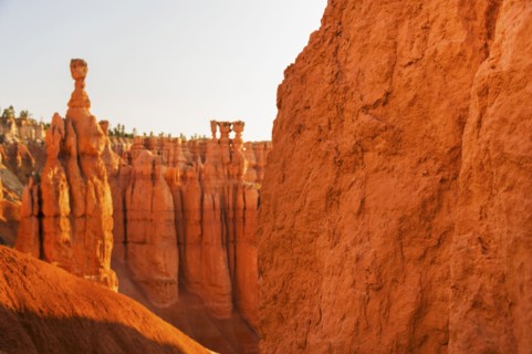 Bryce Canyon National Park. Bryce Canyon National Park, Utah, USA.
Photo : Daniel Grill