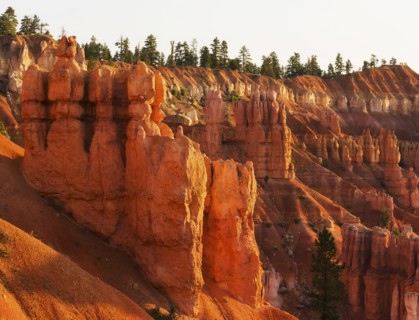 Bryce Canyon National Park. Bryce Canyon National Park, Utah, USA.
Photo : Daniel Grill