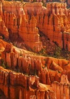 Bryce Canyon National Park. Bryce Canyon National Park, Utah, USA.
Photo : Daniel Grill