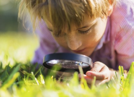 Boy (8-9) searching for bugs.
Photo : Daniel Grill