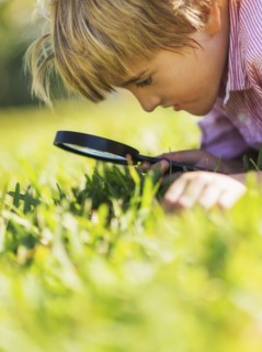 Boy (8-9) searching for bugs.
Photo : Daniel Grill