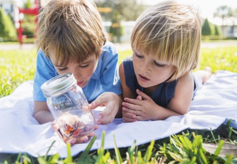 Boys (4-5, 8-9) watching butterfly in jar. Jupiter, Florida, USA.
Photo : Daniel Grill