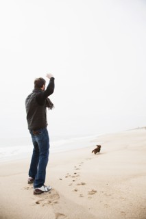 Dachshund fetching on beach.
Photo : Maisie Paterson