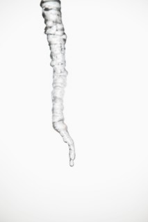 Studio shot of melting icicle.
Photo : Maisie Paterson