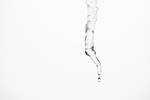 Studio shot of melting icicle.
Photo : Maisie Paterson