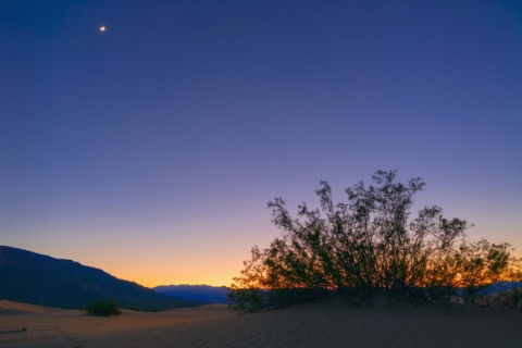 Sunset with moon, Mesquite Dunes. Mesquite Dunes, California, USA.
Photo : Gary Weathers
