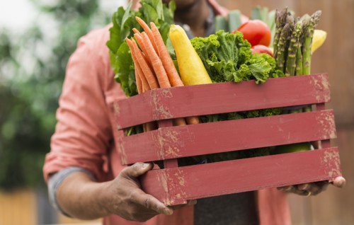 Close up of man carrying crate full of fresh vegetables.