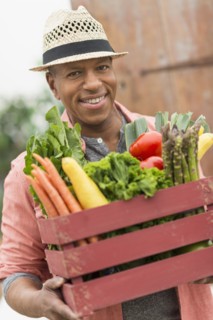 Portrait of man carrying crate full of fresh vegetables.