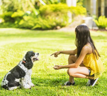 girl ( 8-9) teaching dog tricks.
Photo : Daniel Grill