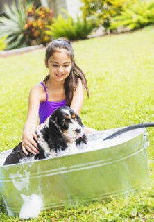 girl (8-9) bathing dog.
Photo : Daniel Grill