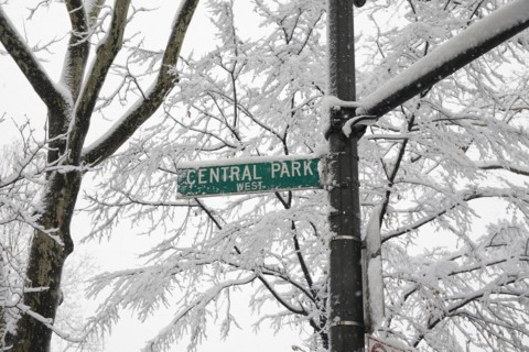 Low angle view of Central Park sign.
Photo :  Winslow Productions