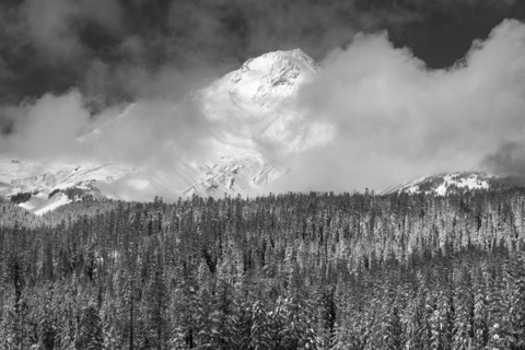 View of Mt Hood.
Photo : Gary Weathers