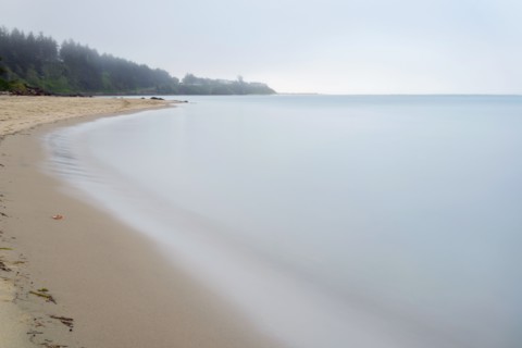 View of seashore.
Photo : Gary Weathers