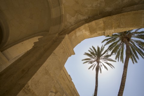 Palm trees in front of Cathedral of Almeria. Almeria, Spain.
