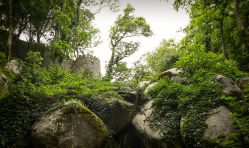 View of Moorish Castle. Sintra, Portugal.