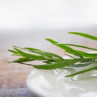 Tarragon in ceramics.