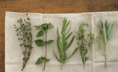 Variation of herbs on table.