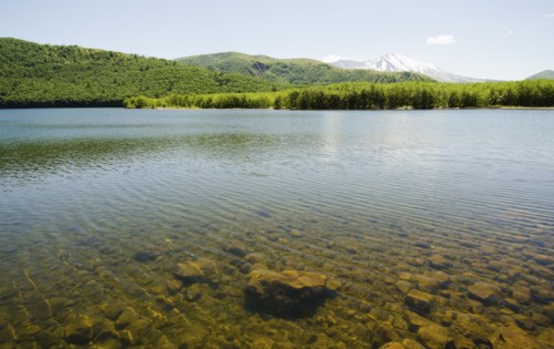 Mount St Helen's