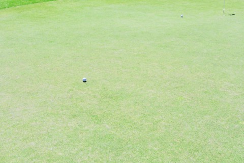 Elevated view of golf course