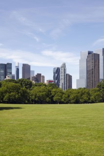 City skyline