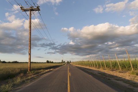 Empty road in diminishing perspective