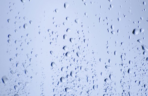 Drops of water on glass