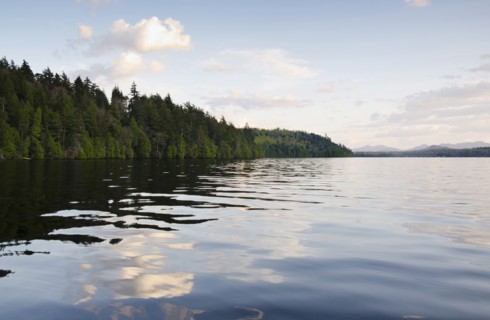 Clouds and forest reflecting in lake