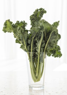 Studio shot of kale leaves in glass.