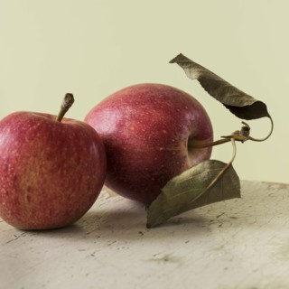 Studio shot of red apples.