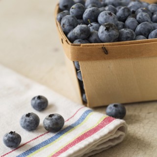 Studio shot of blueberries.