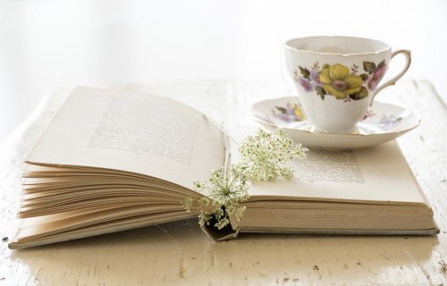 Studio shot of teacup and book with flower.